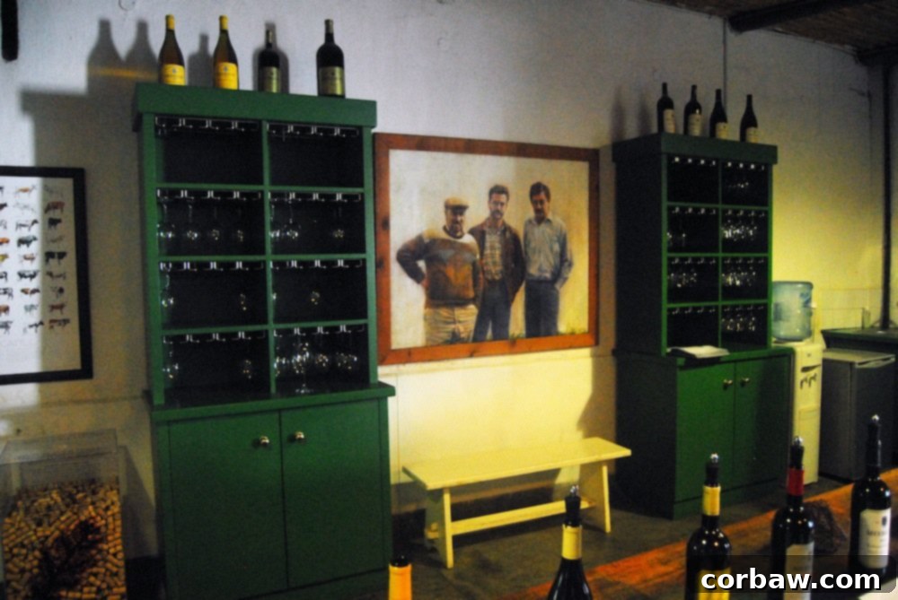 Wine bottles on display at Meerlust