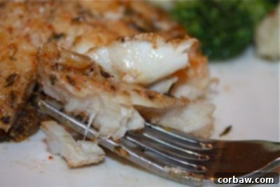 Creole Cast Iron Grouper