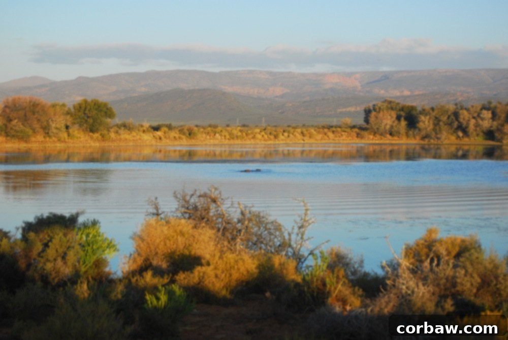 Untamed South African Safari 14 img 40 13