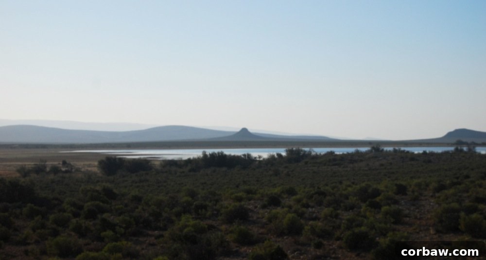 Untamed South African Safari 16 img 40 15