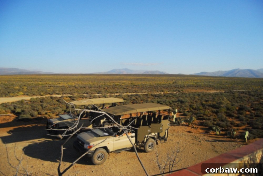 Untamed South African Safari 3 img 40 2