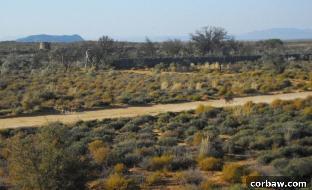 Untamed South African Safari 6 img 40 5