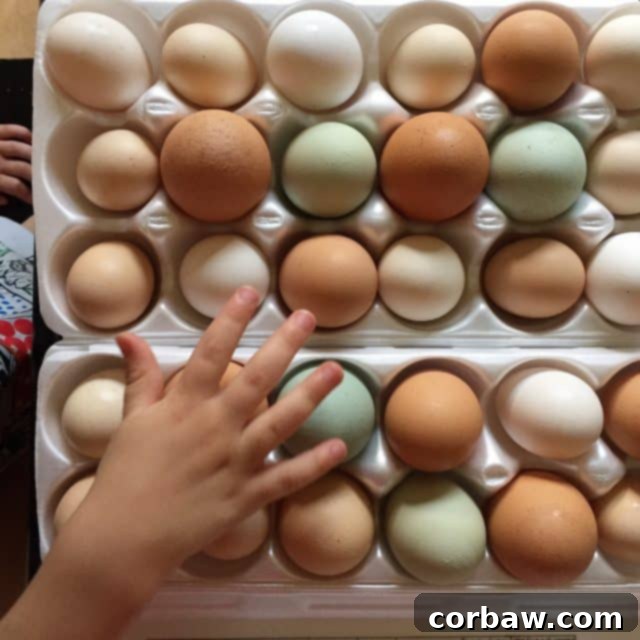 Mediterranean Morning Frittata with Feta, Peppers, and Onions 3 Breakfast, lunch or dinner for one! I love making frittatas for a quick meal, this Greek Pepper and Onion Frittata is one I make often! Recipe via aggieskitchen.com