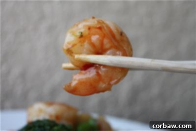 Close-up of cooked Shrimp, Broccoli, and Edamame Stir Fry