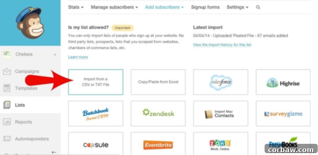 Amplify Your Blog Strategies for Email List Success 2 img 44 2
