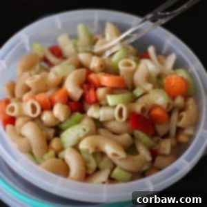 Zesty Macaroni Salad 2 img 4592 6