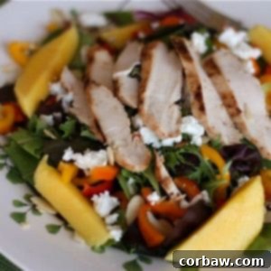 Grilled Chicken Mango Salad - a close-up of the finished dish