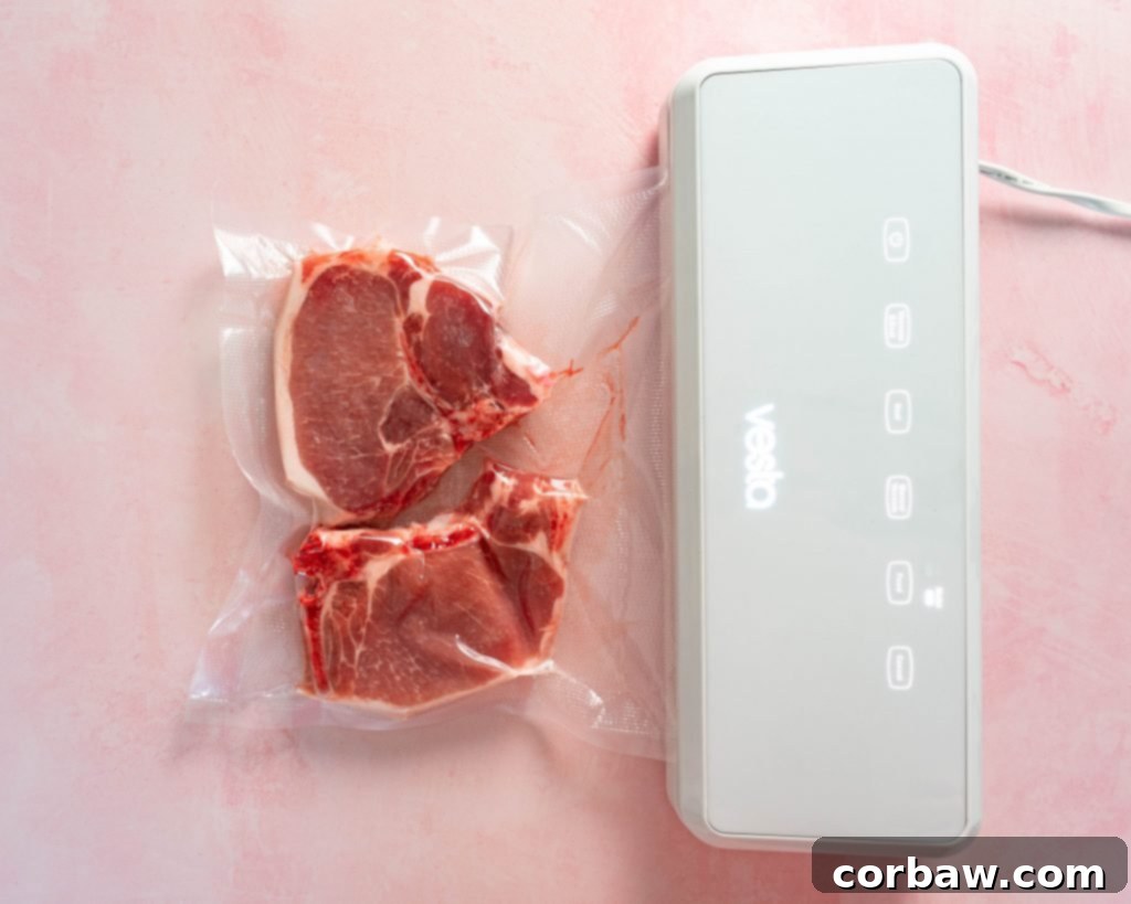 The Art of Airless Sous Vide 3 Sous Vide Electric Vacuum Sealer