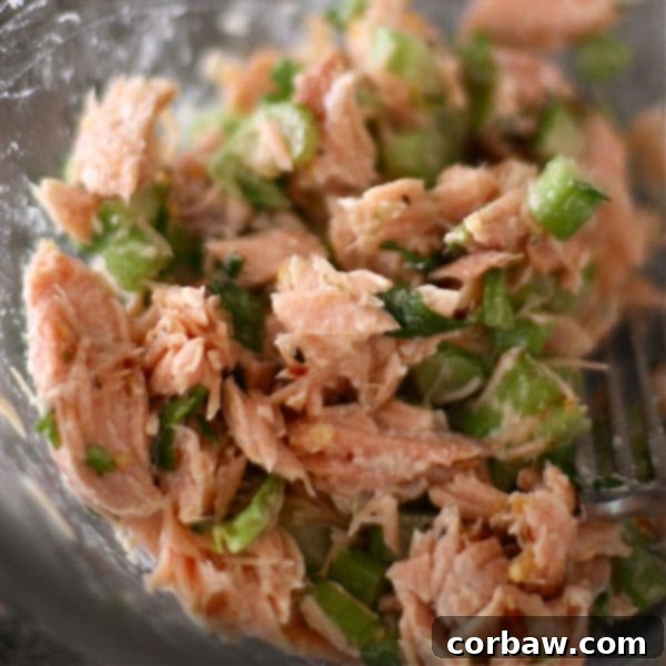 Simple & Satisfying Salmon Salad 5 closeup of salmon salad