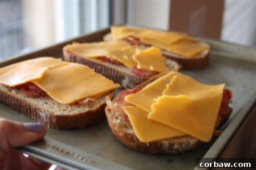 Close-up of Bacon, Cheddar, and Apple Melts - showcasing the perfect layers and golden-brown finish.