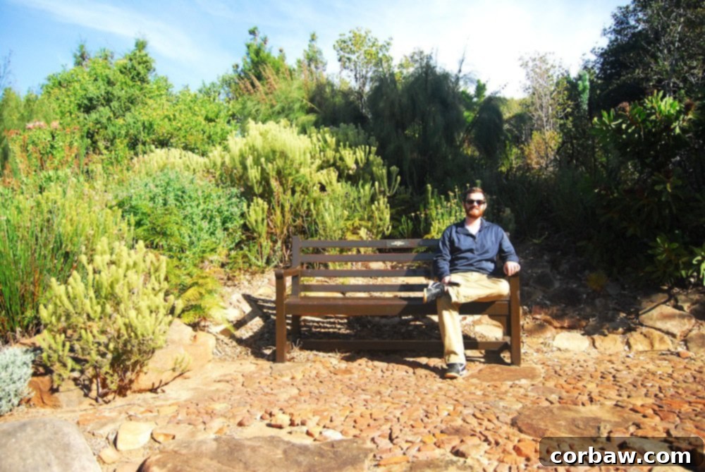Rustic wooden bench nestled under trees, offering a peaceful spot for rest and reflection in the garden