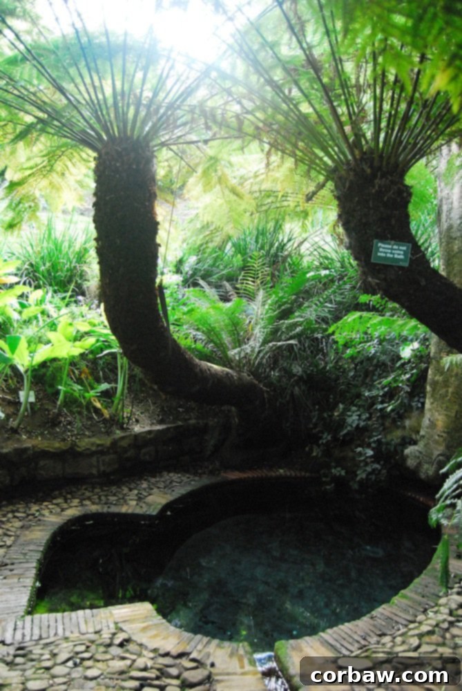 Decorative stone entrance leading to a secluded and beautiful bird bath area within the garden