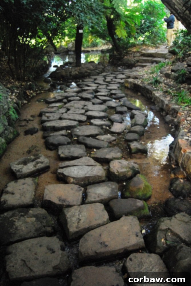 Lush foliage and diverse plant textures creating a vibrant green tapestry within the botanical garden