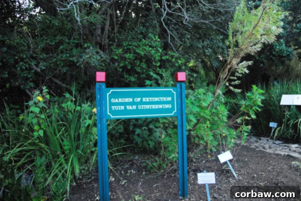 Red interpretive sign within the Garden of Extinction, highlighting an endangered plant species