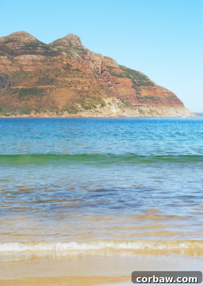 Scenic drive leading to Hout Bay with lush greenery and distant mountains.
