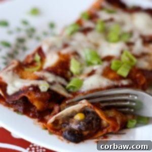 Gooey Black Bean and Corn Enchiladas 2 img 6802 4