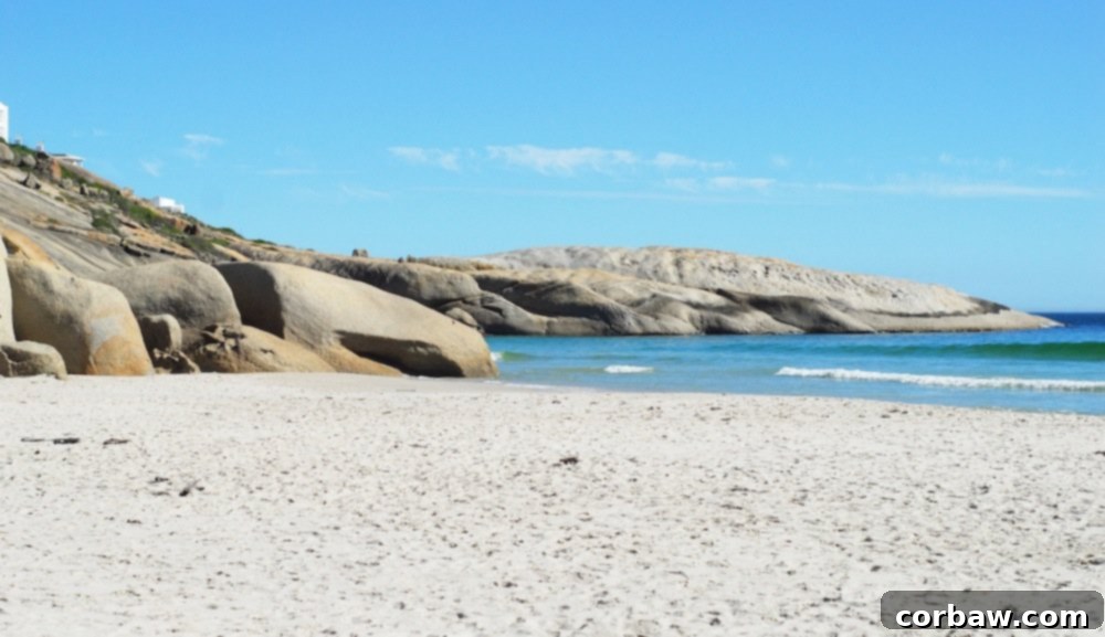 A warning sign at a Cape Town beach, cautioning about marine life.