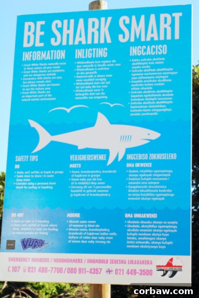 Close-up of a warning sign, detailing potential marine hazards at the beach.