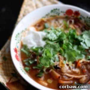 Healthy Chicken Tortilla Soup | aggieskitchen.com
