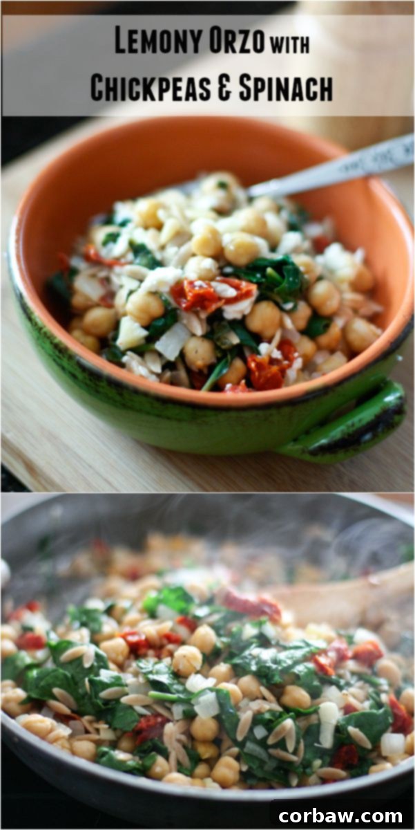 A beautifully plated dish of Whole Wheat Orzo with Spinach, Chickpeas, and Sun-Dried Tomatoes, emphasizing its appeal as a vegetarian main or vibrant side.