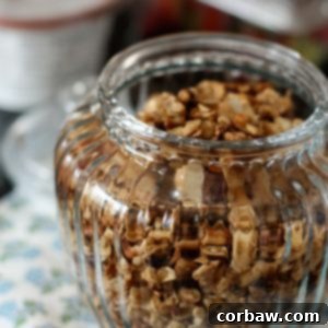 Decadent Cocoa Honey Nut Granola 2 img 7357 5