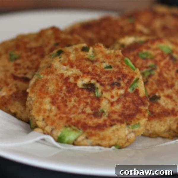 Old Bay Salmon Cakes - a family favorite recipe featuring a classic seafood seasoning for a rich, savory flavor, offering a nostalgic taste.