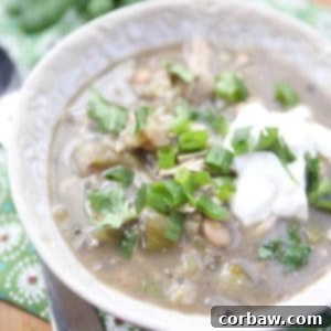 A delicious bowl of Summer White Chicken Chili Verde, perfect for any season.