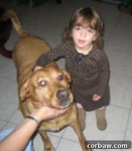 Thanksgiving094.JPG Thanksgiving094.JPG