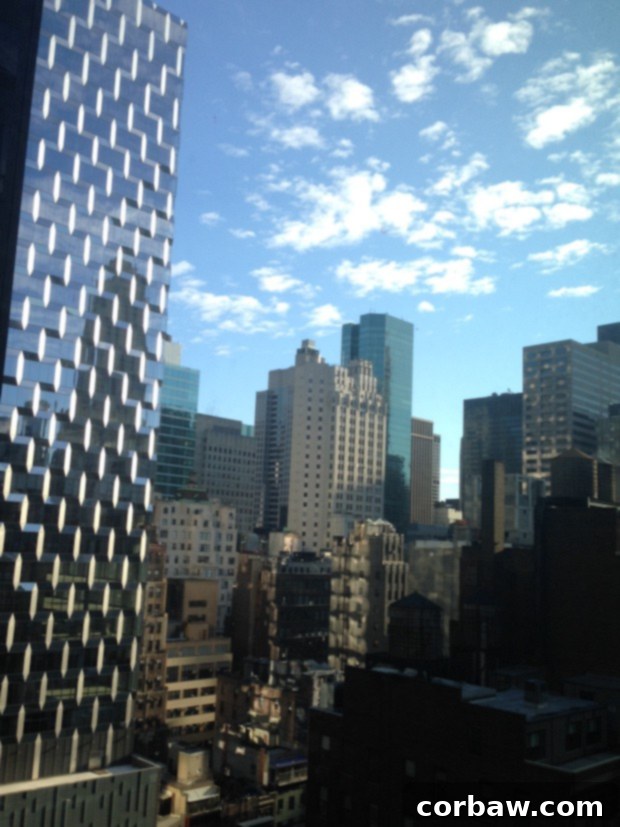 New York City skyline on a clear, beautiful morning after a rainy day