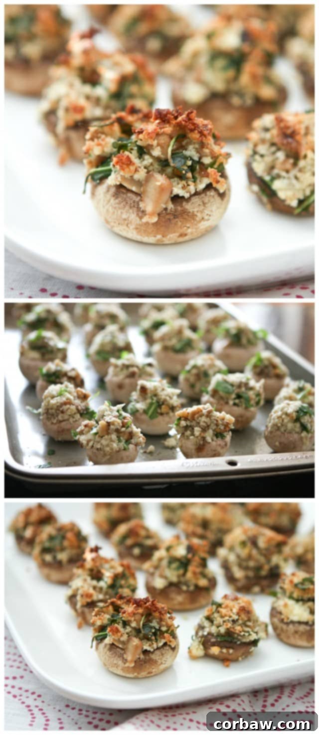 Walnut and Blue Cheese Stuffed Mushrooms: A delicious vegetarian appetizer packed with savory flavors, perfect for any occasion.