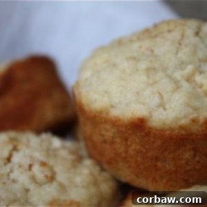 Oatmeal Apple Muffins Plus A Bonus 2 img 868 3