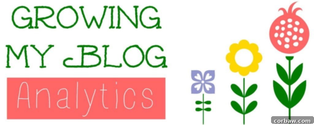 Data-Driven Blog Growth: Analytics and Strategic Goal Setting 2 Blogger studying website analytics on a laptop.