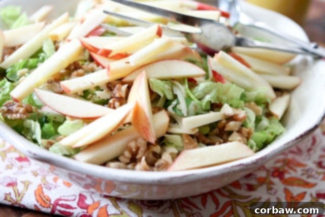 Close-up of the Apple, Celery, and Walnut Salad featuring crisp greens, thinly sliced celery, and crunchy walnuts.