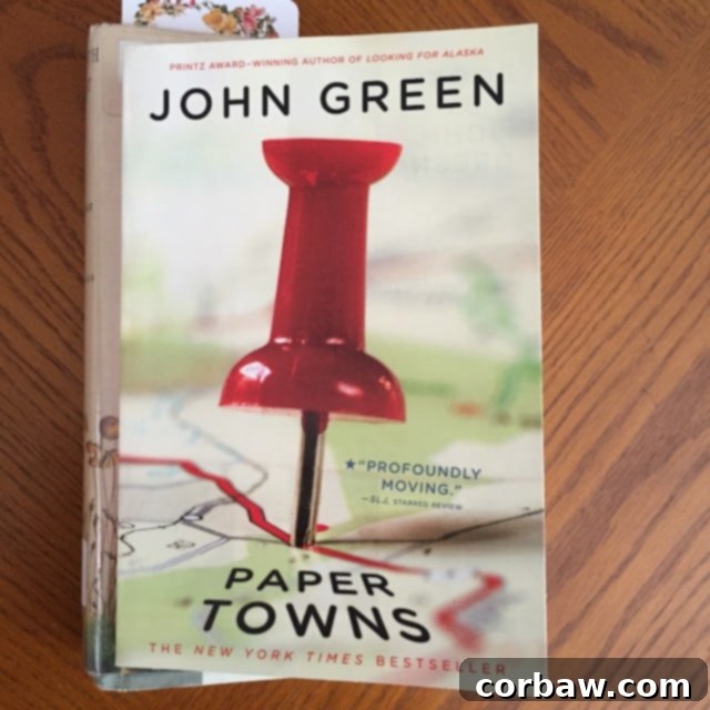 February's Literary Embrace 7 Paper Towns by John Green book cover