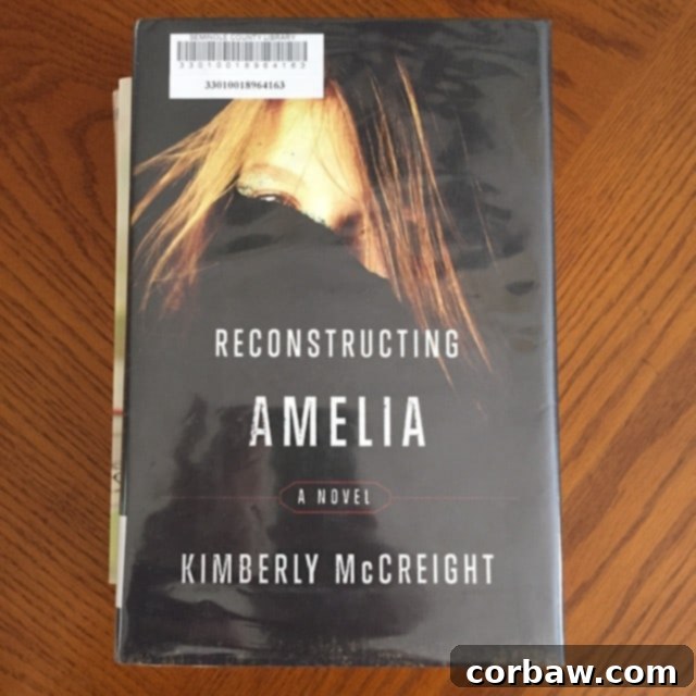 February's Literary Embrace 4 The compelling cover of Reconstructing Amelia