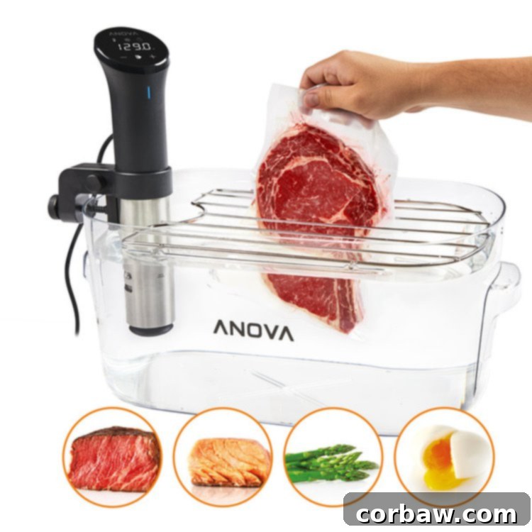 Anova Immersion Circulator Bundle