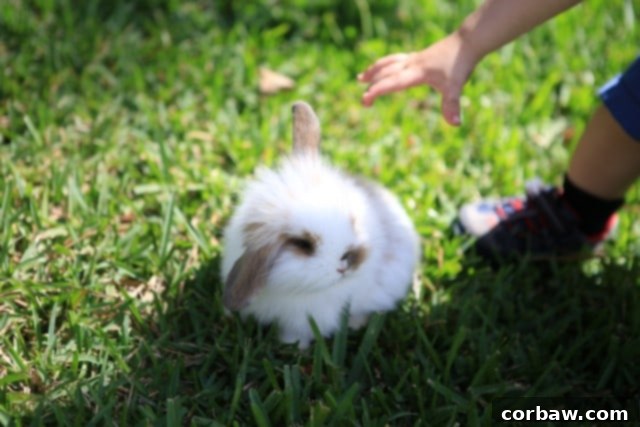 Verdant Spring Pasta with Basil Pesto 2 Blackened_Salmon_Salad-5