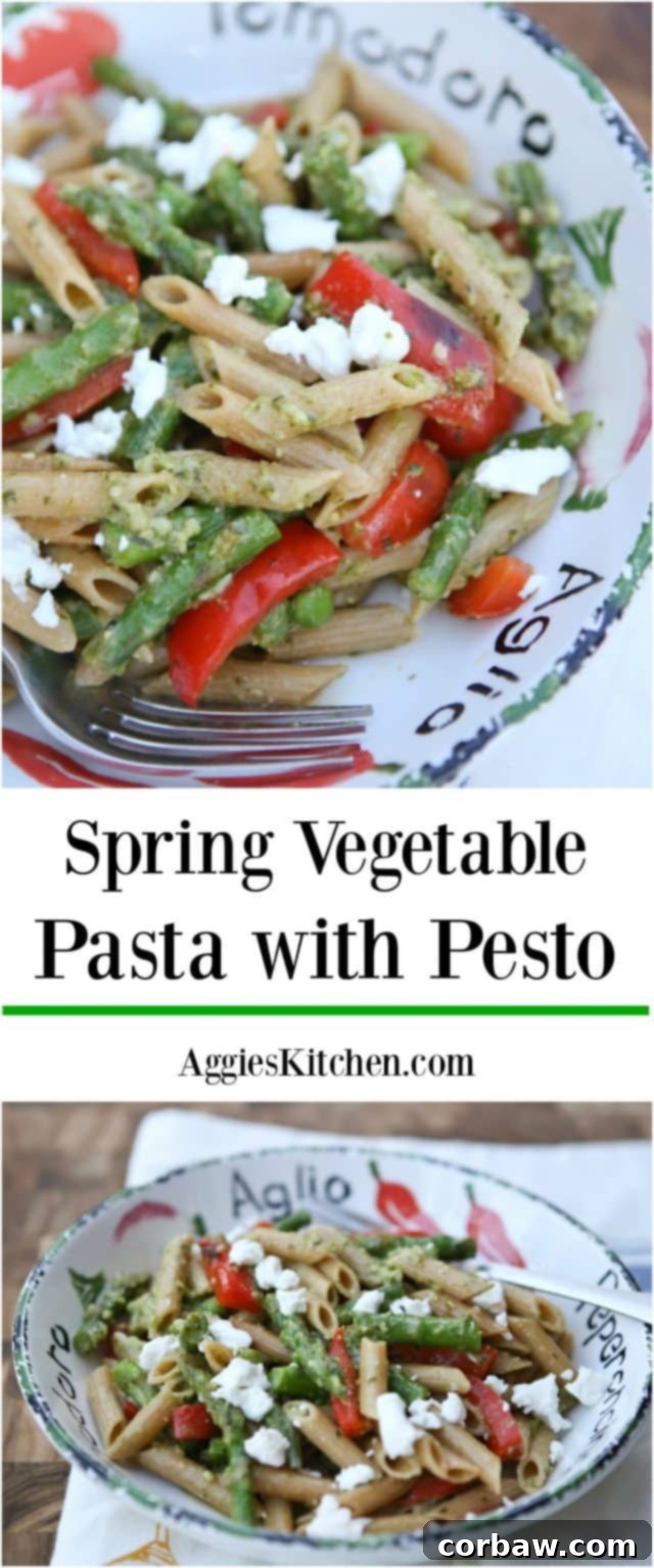 A delicious spring whole wheat pasta dish! Spring Vegetable Pasta with Pesto is bulked up with asparagus, red pepper and peas tossed in a light pesto sauce. Recipe via Aggie's Kitchen A delicious spring whole wheat pasta dish! Spring Vegetable Pasta with Pesto is bulked up with asparagus, red pepper and peas tossed in a light pesto sauce. Recipe via Aggie's Kitchen