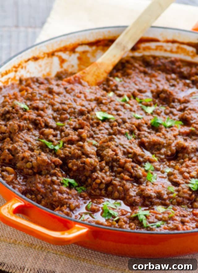 Clean Eating Plant-Forward Marinara Sauce and Giveaway 3 Close-up of Half Meatless Marinara sauce with pasta, featuring lentils and meat