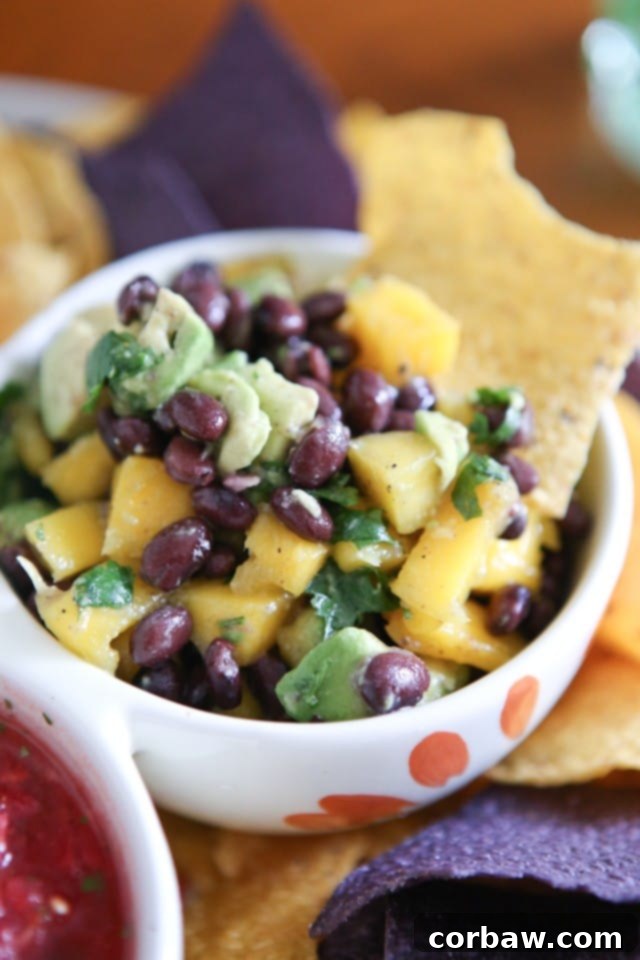 This Mango Avocado and Black Bean Salsa recipe is one you'll want to hang on to! Perfect for dipping with chips, in tacos or over grilled chicken. Recipe via aggieskitchen.com This Mango Avocado and Black Bean Salsa recipe is one you'll want to hang on to! Perfect for dipping with chips, in tacos or over grilled chicken. Recipe via aggieskitchen.com