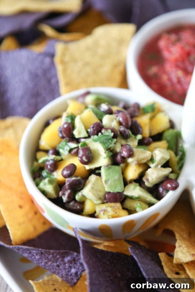 This Mango Avocado and Black Bean Salsa recipe is one you'll want to hang on to! Perfect for dipping with chips, in tacos or over grilled chicken. Recipe via aggieskitchen.com This Mango Avocado and Black Bean Salsa recipe is one you'll want to hang on to! Perfect for dipping with chips, in tacos or over grilled chicken. Recipe via aggieskitchen.com