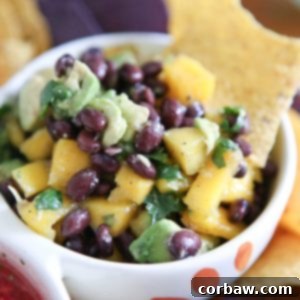Vibrant Mango Avocado Black Bean Salsa 2 img 9782 5