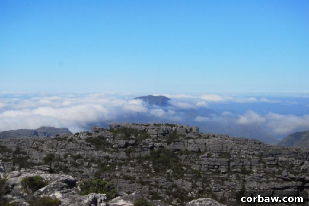 Panoramic view of Cape Town city bowl from Table Mountain