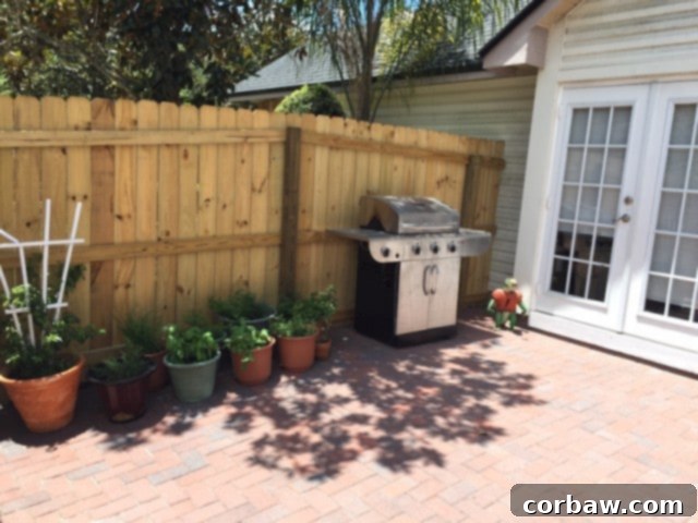 Grilled Flank Steak with Brown Sugar Rub