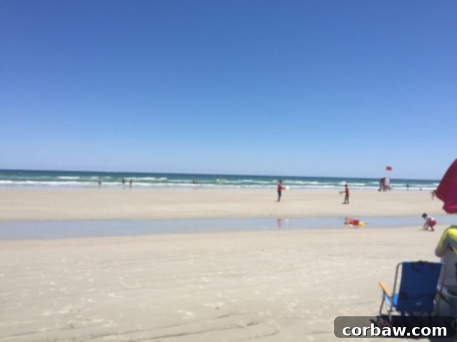 New Smyrna Beach, FL – a serene beach scene, evoking feelings of summer, relaxation, and fresh air, perfect for inspiring light, healthy meals.